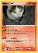 Magoo Lv.47