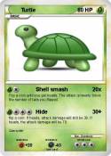 Turtle