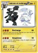 zekrom et reshi