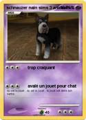 schnauzer nain
