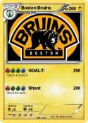 Boston Bruins