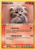 chubby kitty