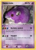Ratata réelle