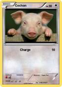 Cochon