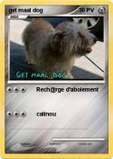 get maal dog