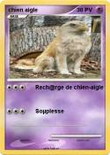 chien aigle
