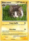 Super-minou