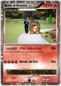 Bush et Bowser