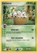 Cachorros