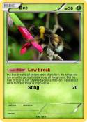 Bee