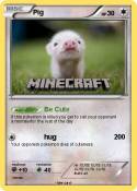Pig