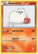 Telephone Cat