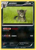 yokomon