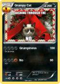 Grumpy Cat