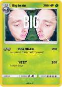 Big brain