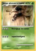 berger allemand
