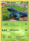 Blue Iguana