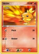 torchic