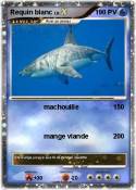 Requin blanc