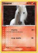 choupinet