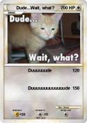 Dude...Wait,
