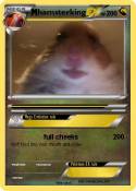 hamsterking