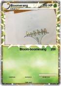 Bloomerang