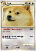 Doge