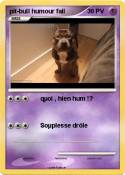 pit-bull humour