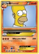 Homer