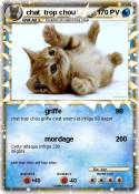 chat trop chou