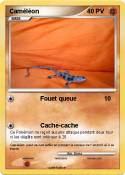 Caméléon