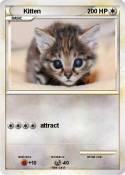 Kitten