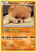 chow chow