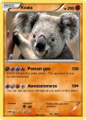 Koala