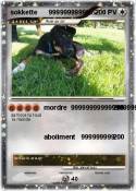sokkette 999999