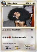 Chien disco
