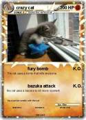 crazy cat