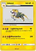 Voltund