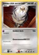 Golden USA socc