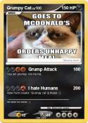Grumpy Cat
