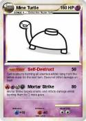 Mine Turtle