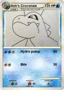 Ash's Croconaw