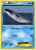 Whale