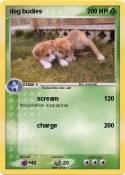 dog budies