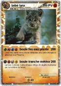 bébé lynx