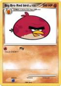 Big Bro Red