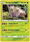 De twee poesjes
