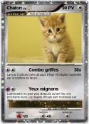 Chaton