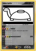 mine turtle